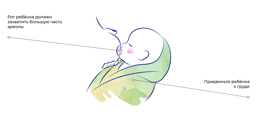 кормление шаг 3.png