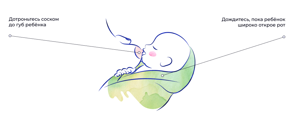 кормление шаг 2.png